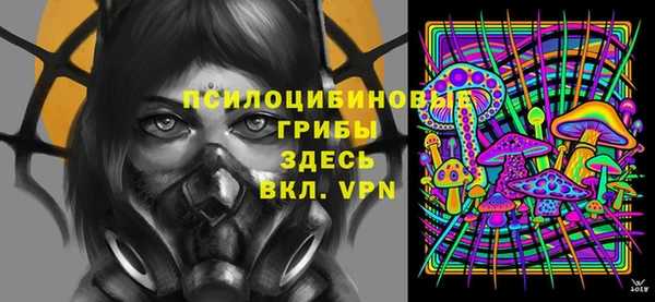 дживик Абинск