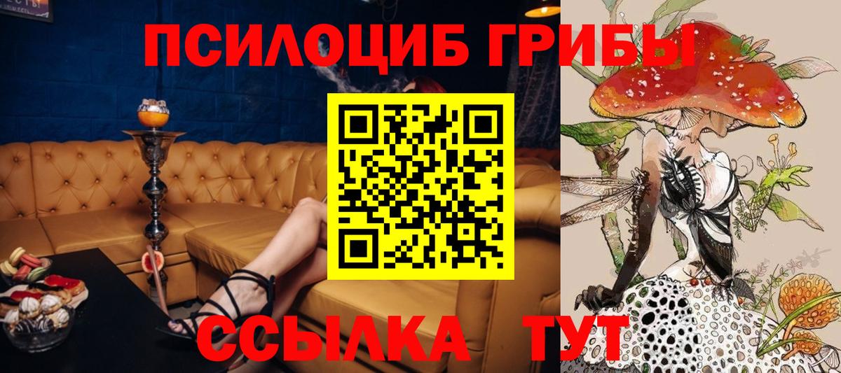 Дивногорск  Псилоцибиновые грибы MAGIC MUSHROOMS  Вход с VPN 