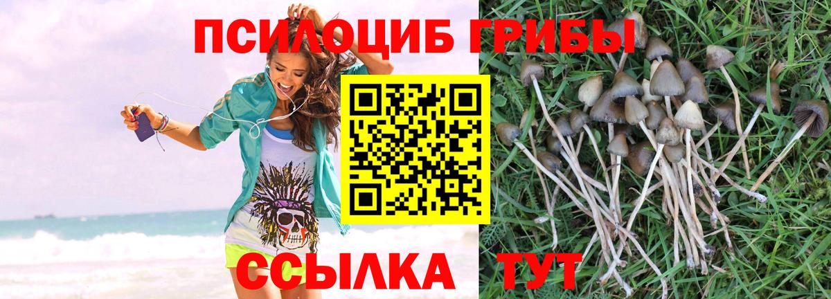 Галлюциногенные грибы MAGIC MUSHROOMS Дивногорск